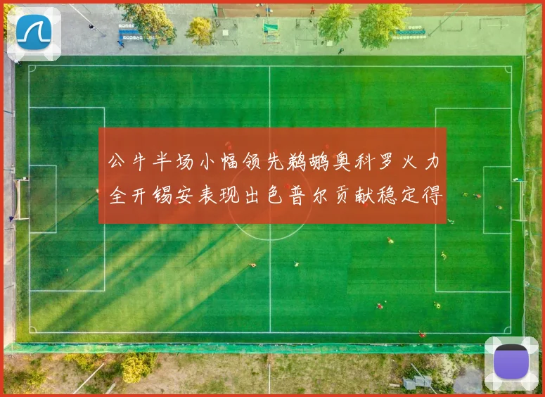 公牛半场小幅领先鹈鹕奥科罗火力全开锡安表现出色普尔贡献稳定得分