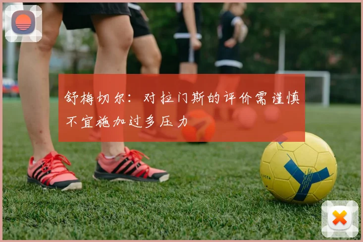 舒梅切尔：对拉门斯的评价需谨慎不宜施加过多压力