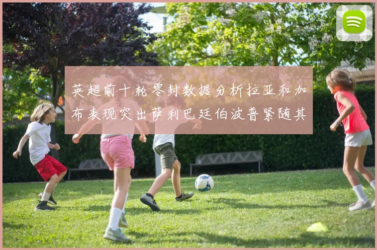 英超前十轮零封数据分析拉亚和加布表现突出萨利巴廷伯波普紧随其后